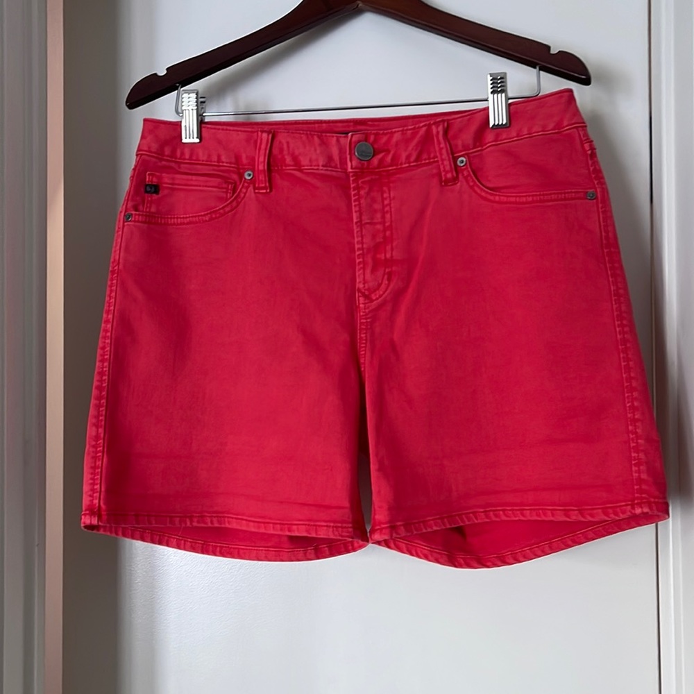 Dear John Shorts 30